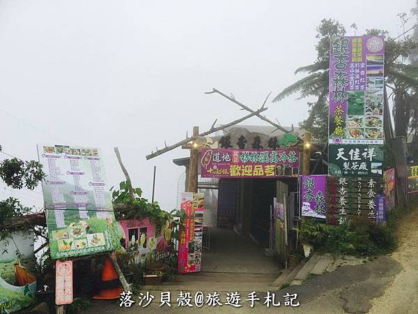 大崙山．樟空倫山步道。 (71)_調整大小.JPG