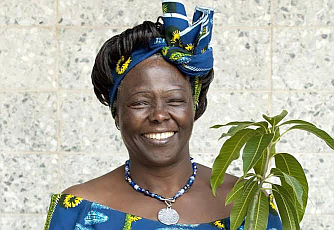 Wangari Maathai.PNG