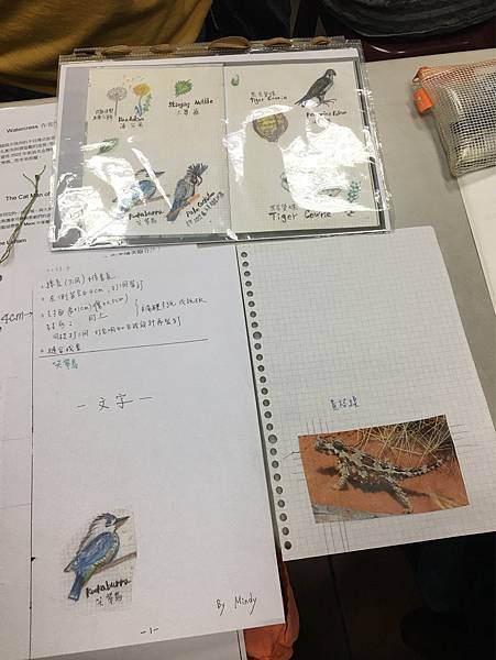 LINE_ALBUM_特色生物線裝書_230709_11.jpg