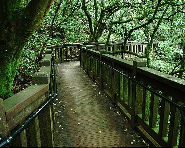 陽明山溫泉