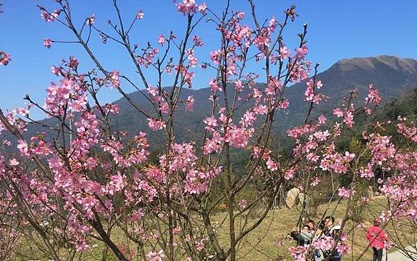 陽明山溫泉