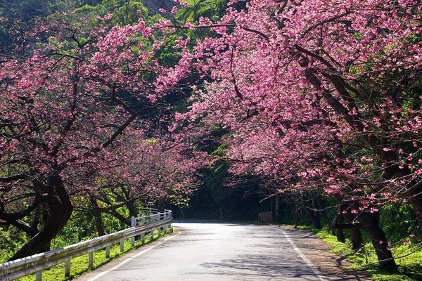 日本沖繩