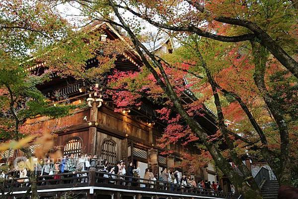 日本東京旅遊首選！伊豆半島的山城溫泉會館，為日本伊豆頗具盛名百年日本溫泉旅宿