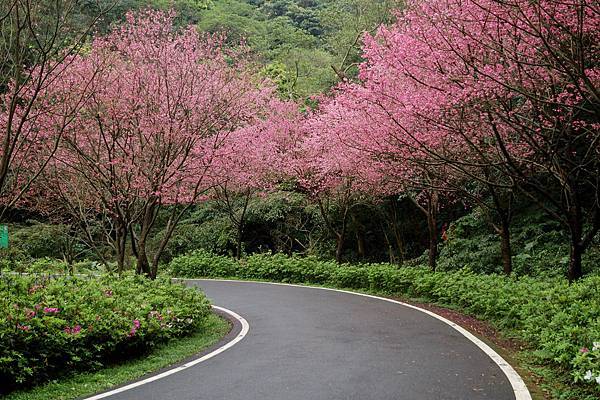 景觀餐廳