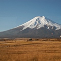 荒野富士