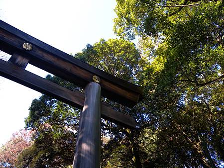 明治神宮鳥居一隅