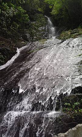 漫步在信賢步道