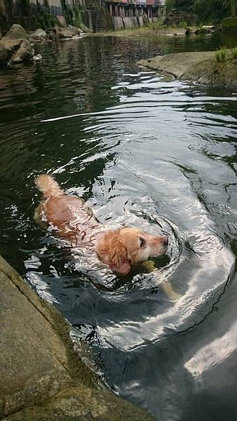 001 布痞下水.jpg 001 布痞下水.jpg