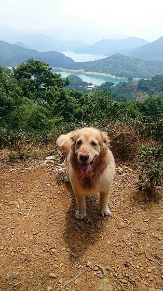 002 布痞上山.jpg 002 布痞上山.jpg