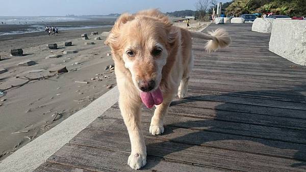 布痞在笨港02 布痞在笨港02