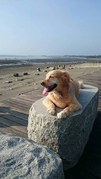 布痞在笨港06 布痞在笨港06