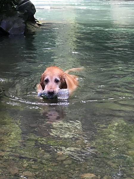 003 布痞咬罐子.jpg 003 布痞咬罐子.jpg