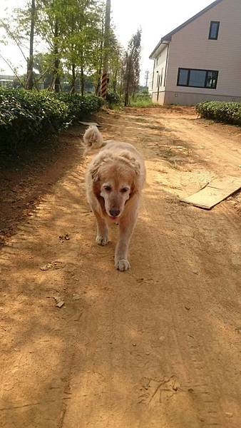 009 布痞趴趴走.jpg 009 布痞趴趴走.jpg