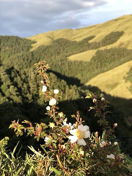 合歡山 