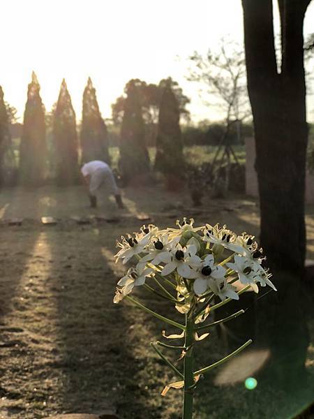 S__4816925.jpg S__4816925.jpg