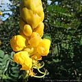 DSCF1116.JPG