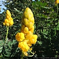DSCF1117.JPG