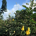 DSCF1118.JPG