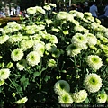 DSCF1120.JPG