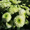DSCF1122.JPG