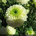 DSCF1124.JPG
