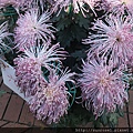 DSCF1128.JPG