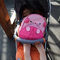 DSCF1132.JPG