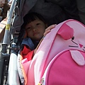 DSCF1133.JPG