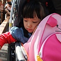 DSCF1135.JPG