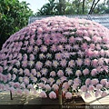 DSCF1136.JPG
