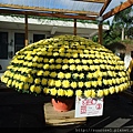 DSCF1138.JPG