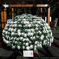 DSCF1140.JPG