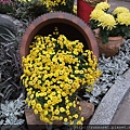 DSCF1141.JPG