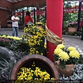 DSCF1142.JPG