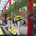 DSCF1145.JPG