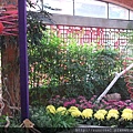DSCF1149.JPG