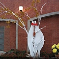 DSCF1153.JPG