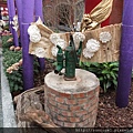 DSCF1154.JPG