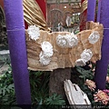 DSCF1156.JPG