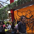 DSCF1157.JPG