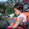 DSCF1163.JPG