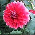 DSCF1166.JPG
