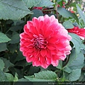 DSCF1167.JPG