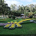 DSCF1168.JPG