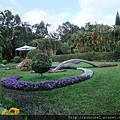 DSCF1178.JPG