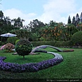 DSCF1179.JPG