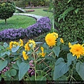 DSCF1180.JPG