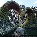 DSCF1182.JPG