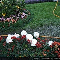 DSCF1183.JPG