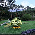 DSCF1184.JPG